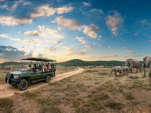 壮大な自然！活気あふれる文化！　冒険心をくすぐる南アフリカの魅力