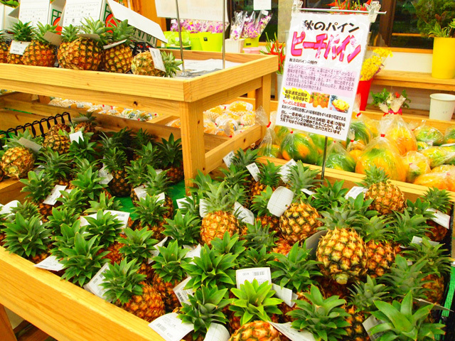 クチコミで人気！ あげてうれしい・もらってうれしい♪ 失敗しない沖縄土産ならこのお店！(沖縄離島編)