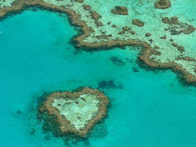 キラキラの海 可愛い動物 豊かな自然に癒やされる オーストラリアで出会える天国の島 トラベルマガジン