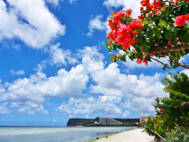 安すぎる海外セールツアーって大丈夫なの!? 本当に楽しめるか検証してみた。