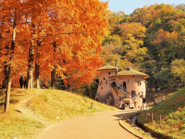 【関東】日帰り旅行におすすめ！ 秋の絶景おでかけスポット10選