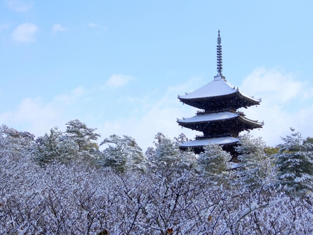 冬の京都で訪れるべき絶景スポット11選！しっとり美しい雪景色を堪能♡