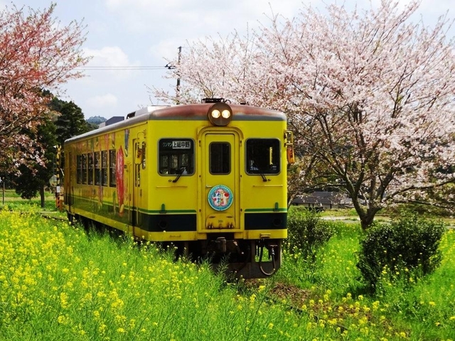 春はのんびり列車旅！ 絶景車窓に癒されるローカル線8選