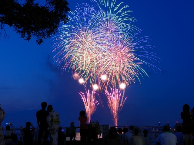 【関東】絶対に見たい！ おすすめの花火大会12選