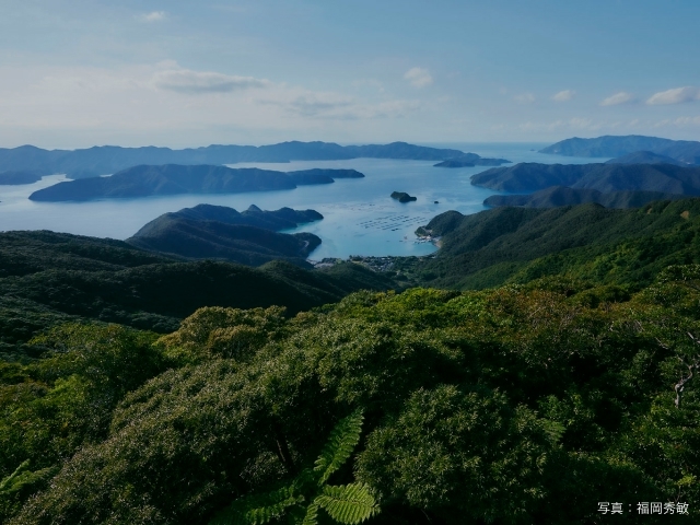 日本の世界自然遺産へ！ 奇跡の風景や生態系、歴史を感じるエコツーリズム