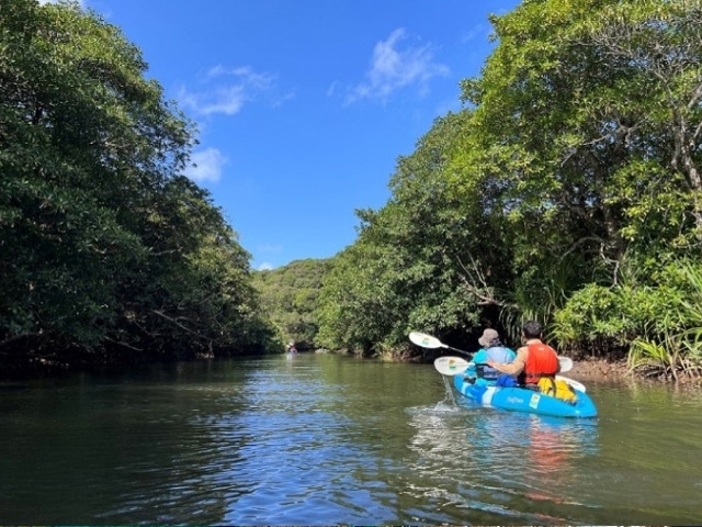 日本の世界自然遺産で心震える特別な旅を！ 唯一無二の自然美や生態系に出合う“エコツーリズム”