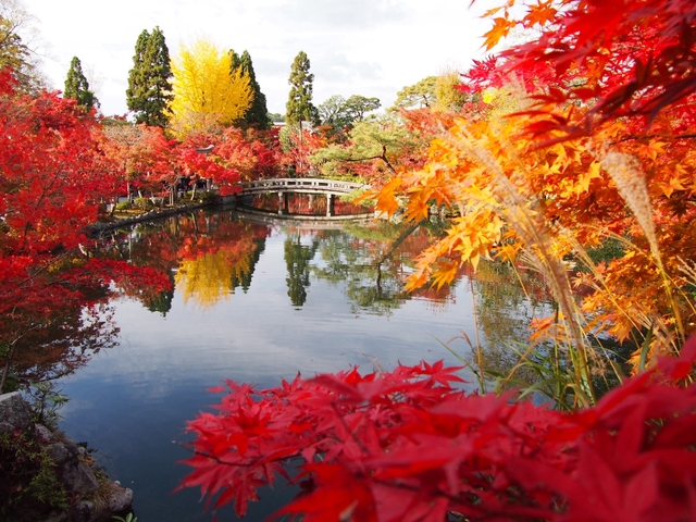 京都の紅葉32選 見ごろ別に紹介 ライトアップや穴場情報も トラベルマガジン
