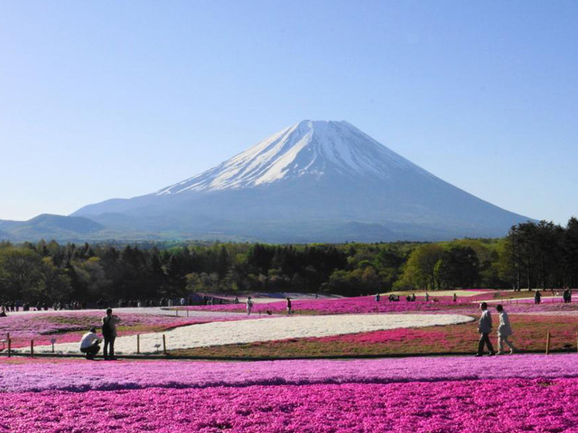 日本最長！ 富士山を眺められる「三島スカイウォーク（箱根西麓・三島大吊橋）」って知ってる？