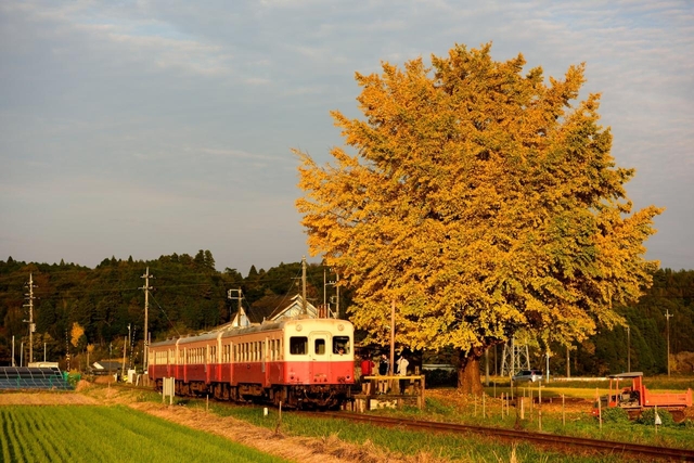 ローカル線の旅へ！秘境や聖地も♪車窓から絶景が広がる鉄道
