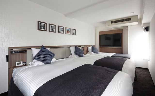 ホテルマイステイズ札幌すすきの