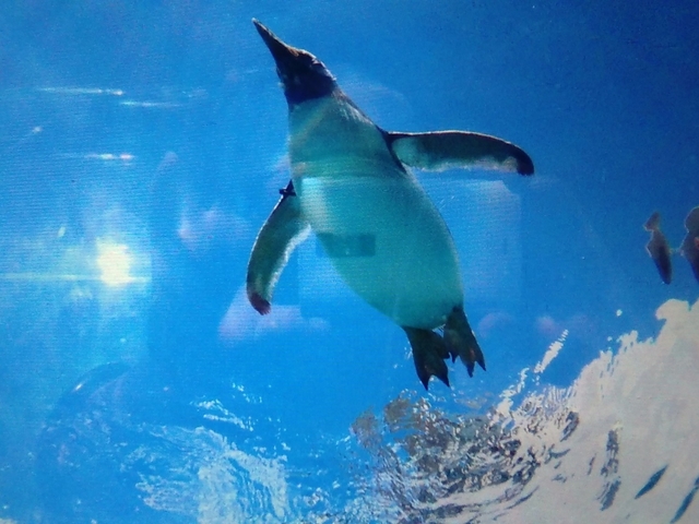 4. アートホテル旭川 / 旭川