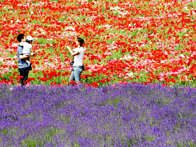 子連れ・赤ちゃん連れにおすすめ北海道のホテル・旅館はいかがでしたか。