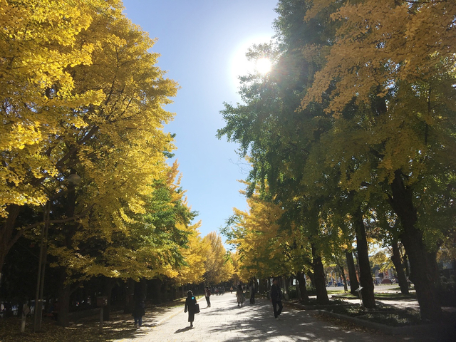 「中島公園」周辺のビジネスホテル