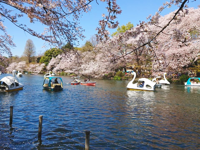 井の頭恩賜公園
