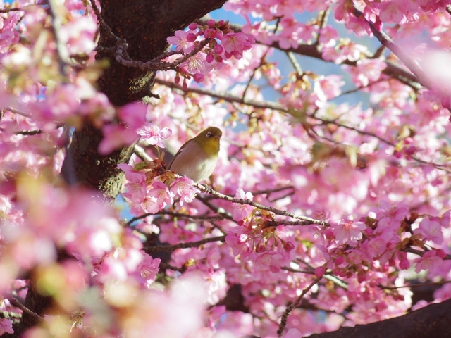 行きたい場所は決まりましたか？