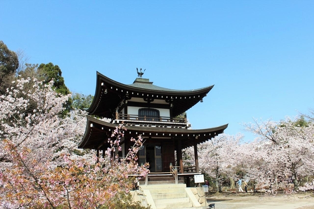 水連に浮かぶ勧修寺