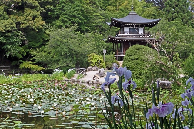 水連に浮かぶ勧修寺