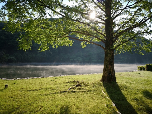 9位 若狭みかた　きらら温泉　水月花 / 福井県 水月湖周辺