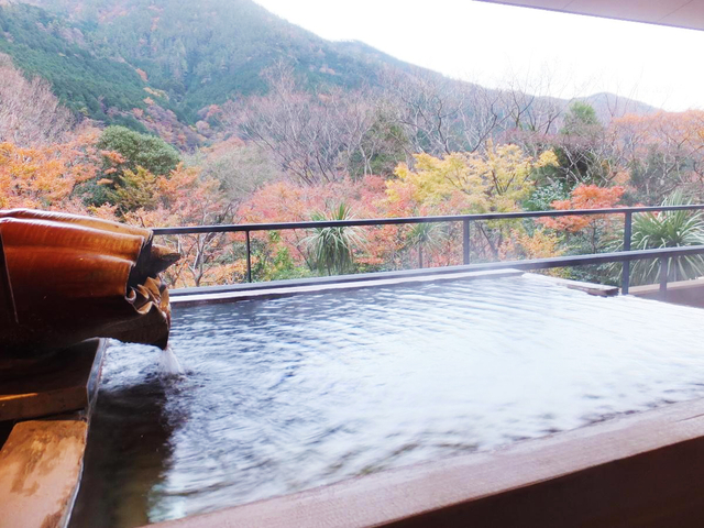 箱根吟遊 / 宮ノ下