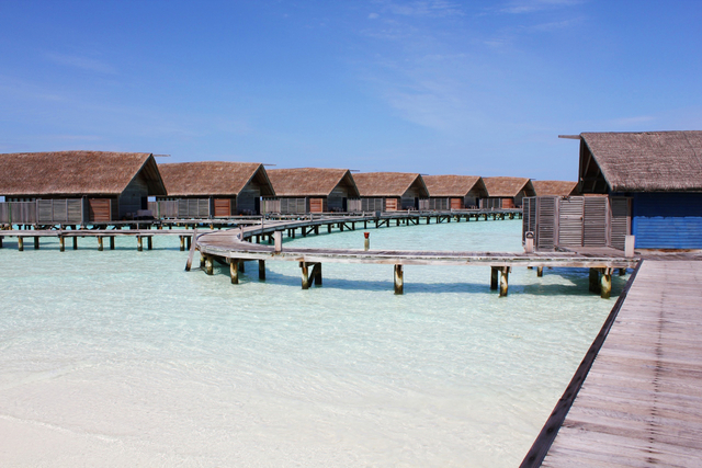 COMO ココア アイランド