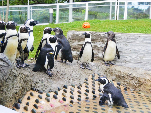 4. マリンワールド海の中道