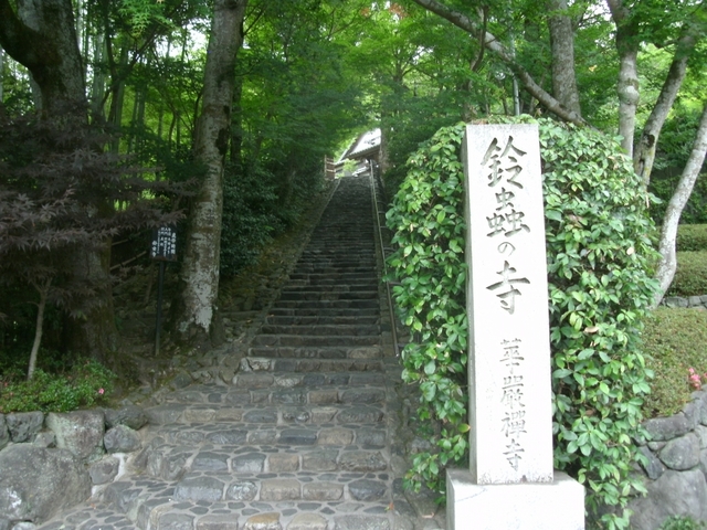 7. 鈴虫寺(華厳寺) / 松室地家町