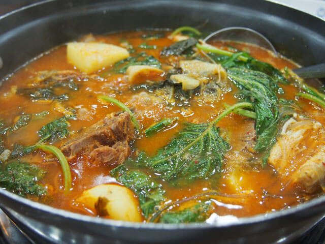 ウォンダンカムジャタン