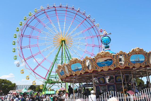 「国営ひたち海浜公園」のネモフィラ / 茨城県