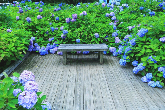 舞鶴自然文化園