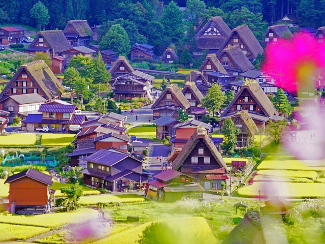 いかがでしたか？