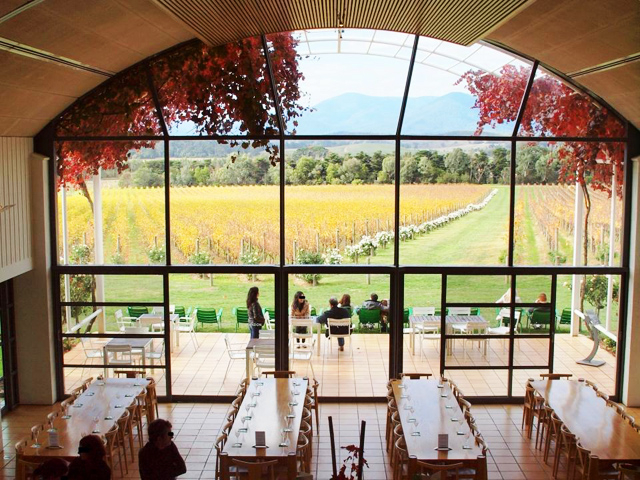 ヤラバレーワイナリー