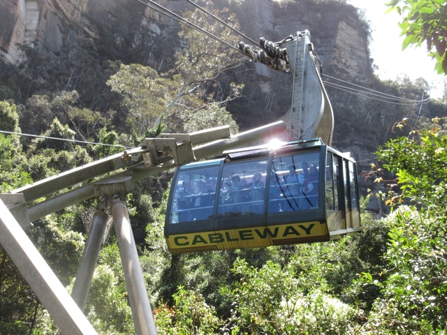 ブルーマウンテンズ