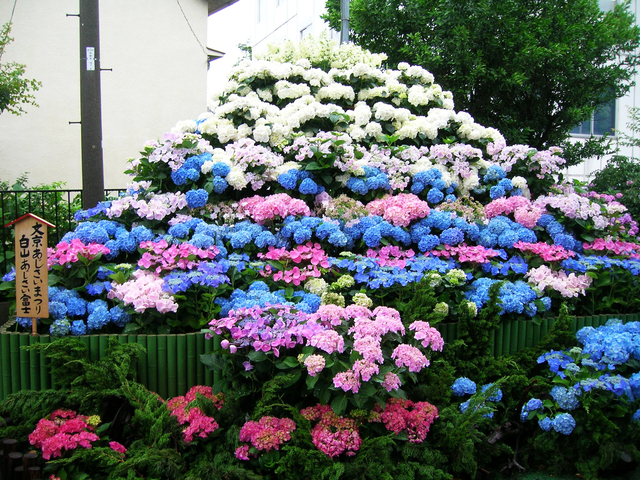 白山神社・白山公園