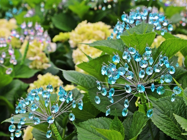 箱根ガラスの森美術館