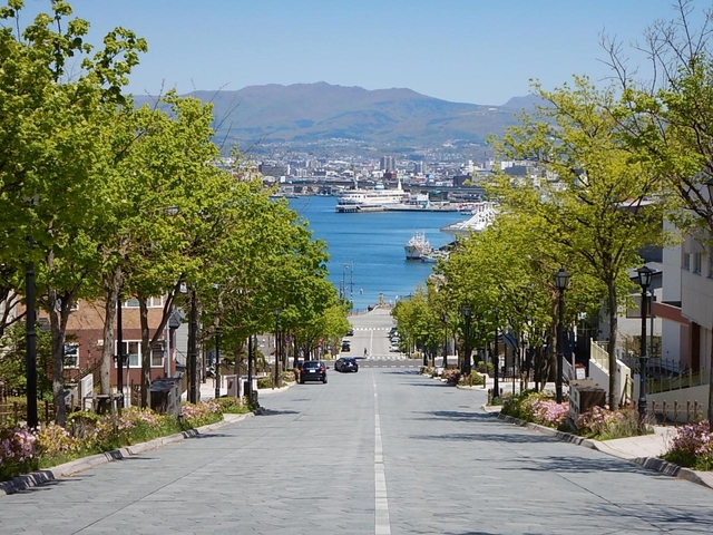 函館観光のおすすめの過ごし方を紹介しました！