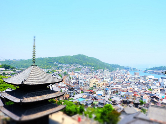 広島グルメはいかがでしたか？