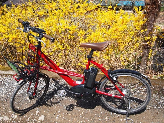 現地でのアクセスはなにが便利？