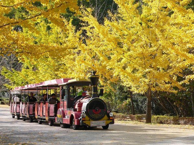 秩父ミューズパーク