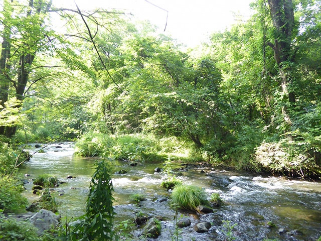 軽井沢のおすすめランチをご紹介しました