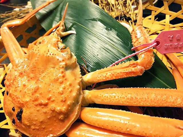 9. 城崎温泉 湯楽 Yuraku Kinosaki Spa&Gardens