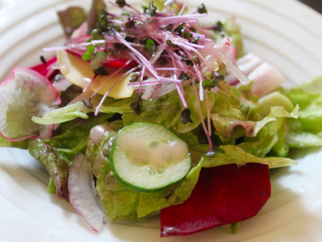 6. TOOTH TOOTH maison15th