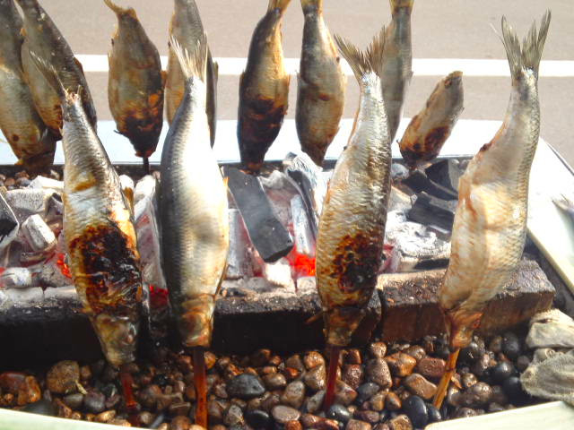 5. 民宿 青塚食堂