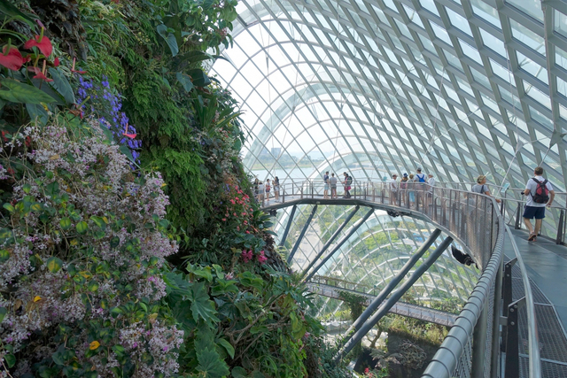 クラウド フォレスト ドーム