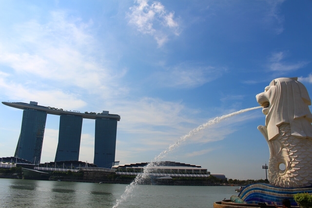 いかがでしたか