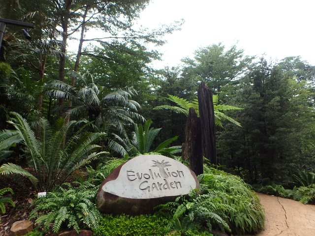 シンガポール植物園
