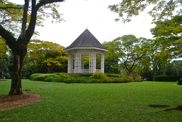 シンガポール植物園