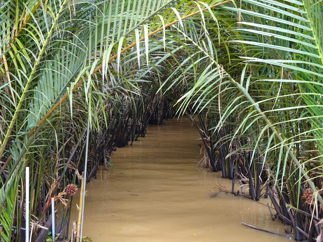 メコン河クルーズ