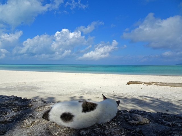 4. 八重山屈指の白浜が続く絶景ビーチへ