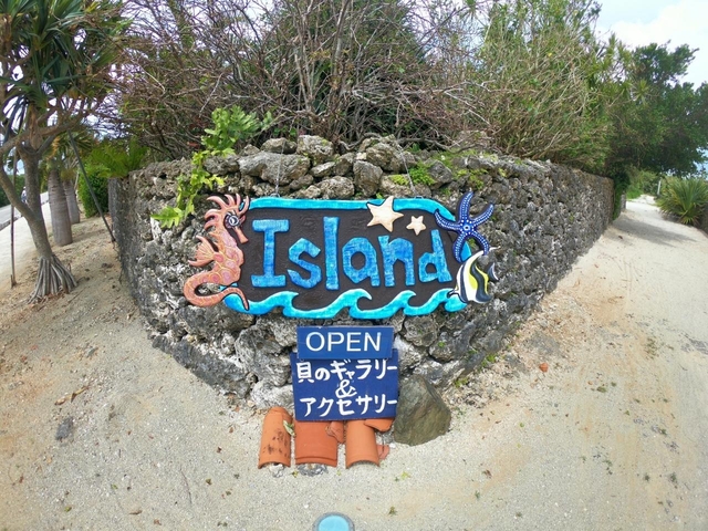 7. 貝殻アクセサリーを旅の思い出に買う