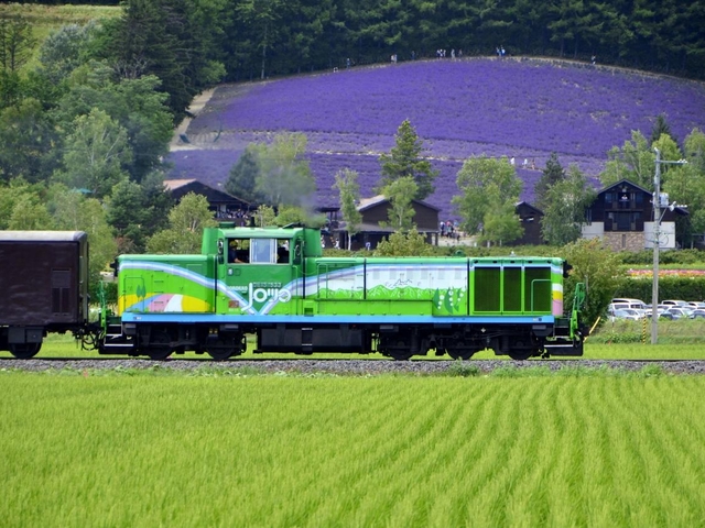 5. 富良野を肌で感じる！のんびりとした時間が流れる「富良野・美瑛ノロッコ号」